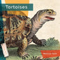 Tortoises - Library Binding