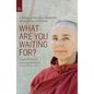 What Are You Waiting For?: A Conversation about Buddhism Between Two Old Friends - Paperback