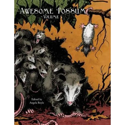 Awesome 'Possum, Volume 3 - Paperback