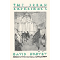 The Urban Experience - Paperback
