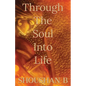 Through The Soul Into Life - Paperback