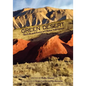 Green Desert: The Life and Poetry of Olzhas Suleimenov - Paperback