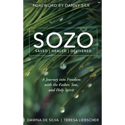 SOZO Saved Healed Delivered: A Journey into Freedom with the Father, Son, and Holy Spirit - Hardcover