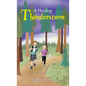 A Healing Thunderstorm - Hardcover