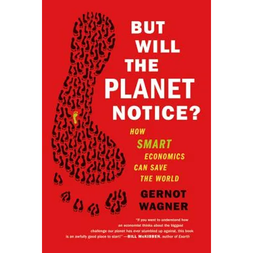 But Will the Planet Notice?: How Smart Economics Can Save the World - Paperback