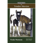 Sonrise Stable: Tender Mercies - Paperback