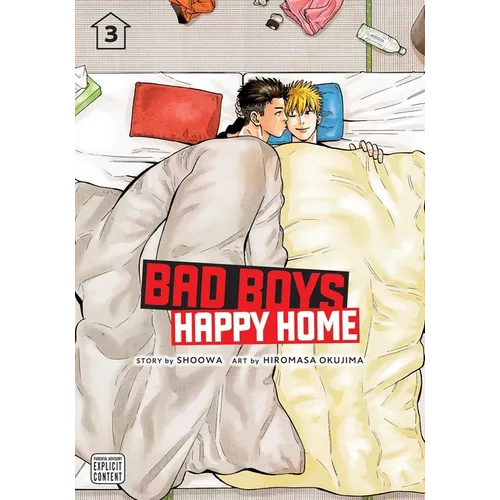 Bad Boys, Happy Home, Vol. 3 - Paperback