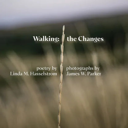 Walking the Changes - Paperback