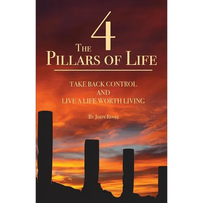 The 4 Pillars of Life: Take Back Control and Live a Life Worth Living - Paperback