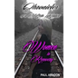 Chronicles of a Meth Addict: Women in Recovery - Paperback