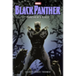 Black Panther: Panther's Rage - Hardcover