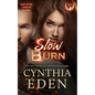 Slow Burn - Paperback