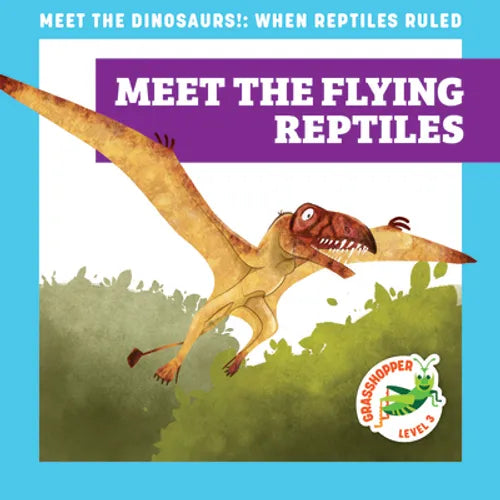Meet the Flying Reptiles - Paperback
