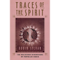 Traces of the Spirit: The Religious Dimensions of Popular Music - Paperback