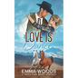 Love is a Dance: Christian Contemporary Romance - Paperback
