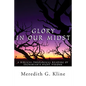 Glory in Our Midst: A Biblical-Theological Reading of Zechariah's Night Visions - Paperback