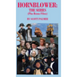 Hornblower-The Series - Hardcover
