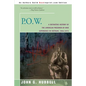 P.O.W.: A Definitive History of the American Prisoner-Of-War Experience in Vietnam, 1964-1973 - Paperback
