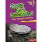 Chinese Giant Salamanders: Nature's Biggest Amphibian - Paperback