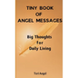 Tiny Book of Angel Messages: Big Thoughts for Daily Living - Paperback