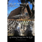 Fall of the House of Dad: My journey through divorce, from loss to joy, again and again - Paperback
