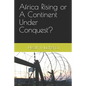 Africa Rising or A Continent Under Conquest? - Paperback