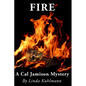 Fire: A Cal Jamison Mystery - Paperback