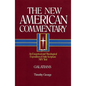 Galatians: An Exegetical and Theological Exposition of Holy Scripture Volume 30 - Hardcover