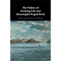 The Politics of Working Life and Meaningful Waged Work - Paperback