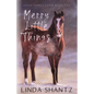 Merry Little Things: Good Things Come Book 5 - Paperback