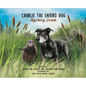 Charlie The Enviro Dog - Hardcover