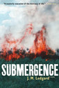Submergence - Paperback