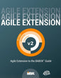 Agile Extension to the BABOK(R) Guide: Version 2 - Paperback
