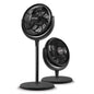 FanFair 12" 3-in-1 Air Circulator