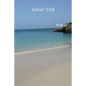 Silver Still - Paperback