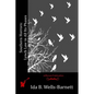 Southern Horrors: Lynch Law in All Its Phases - Paperback