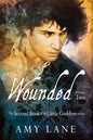 Wounded, Vol. 2 - Paperback