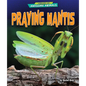 Praying Mantis - Paperback