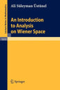 An Introduction to Analysis on Wiener Space - Paperback