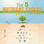 The 5 Nutrient Cycles - Science Book 3rd Grade Children's Science Education books - Paperback