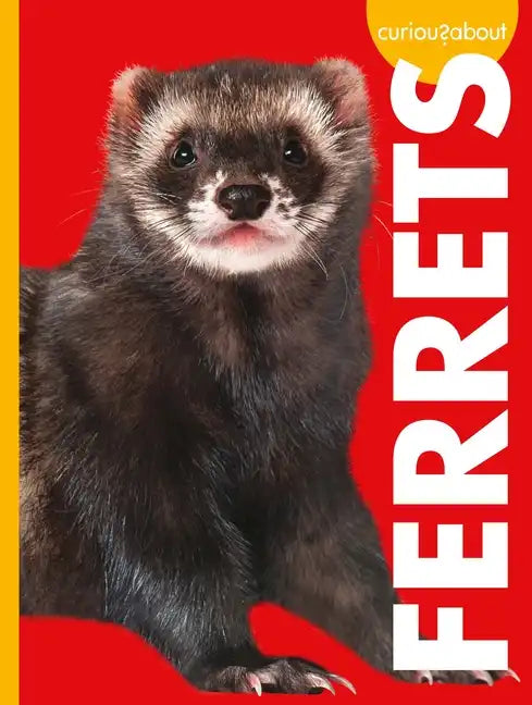Curious about Ferrets - Paperback