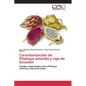 Caracterización de Pitahaya amarilla y roja de Ecuador - Paperback