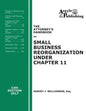 The Attorney's Handbook on Small Business Reorganization Under Chapter 11 (2017): A Legal Practitioner's Handbook on Chapter 11 Bankruptcy - Paperback