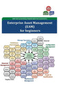 EAM for beginners: Nuclear Information Management - Paperback