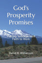 God's Prosperity Promises: Putting Subconscious Faith To Work - Paperback