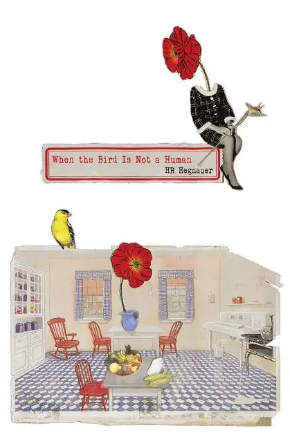 When the Bird is Not a Human - Paperback