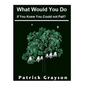 What Would You Do If You Knew You Could Not Fail? - Paperback