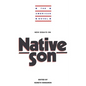New Essays on Native Son - Paperback