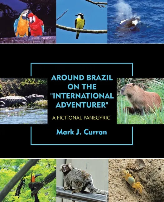 Around Brazil on the "International Adventurer": A Fictional Panegyric - Paperback