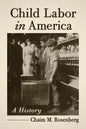 Child Labor in America: A History - Paperback
